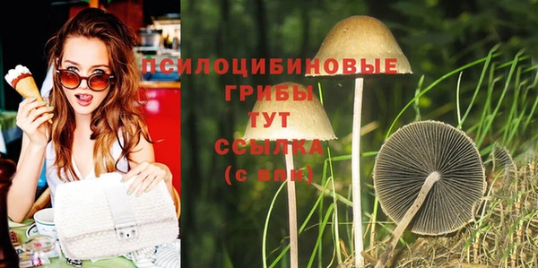 не бодяженный Арсеньев